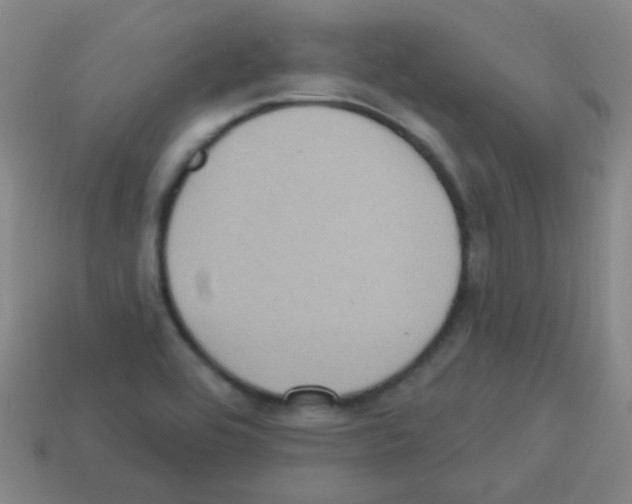 X0000113231464200910221029