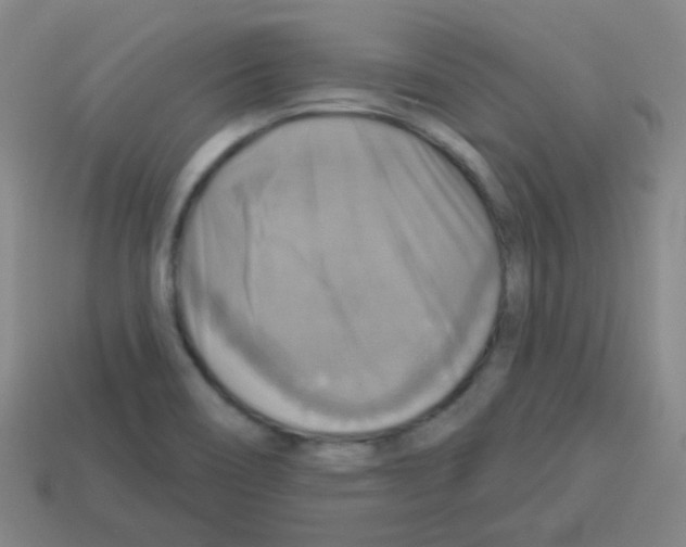 X0000113231466200910221029