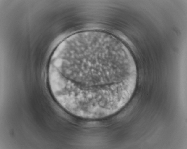 X0000113231467200910221029