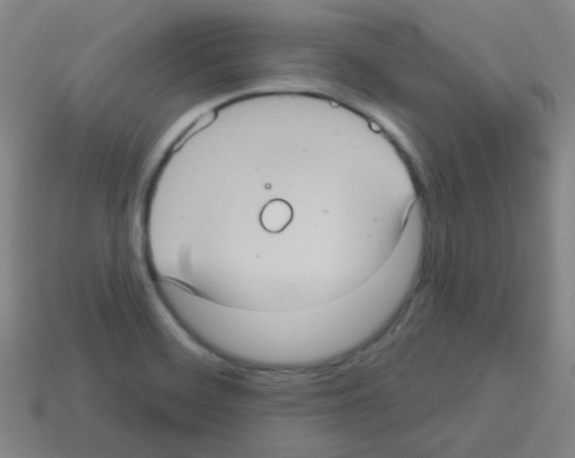 X0000113231468200910221029