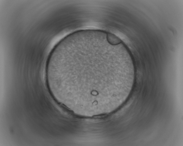 X0000113231469200910221029