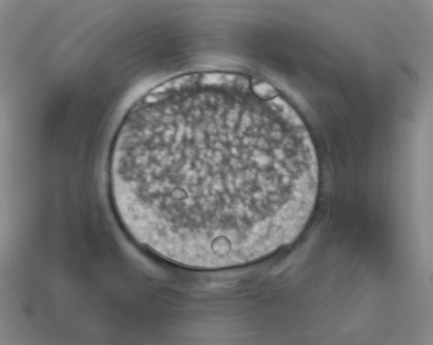 X0000113231471200910221029