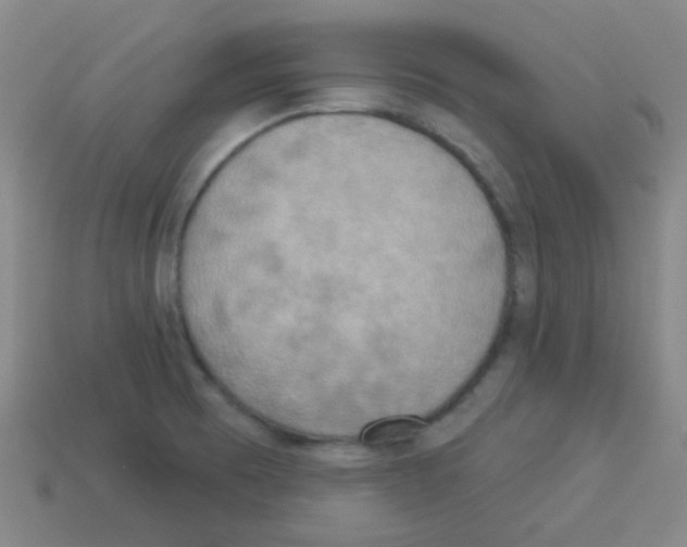 X0000113231473200910221029