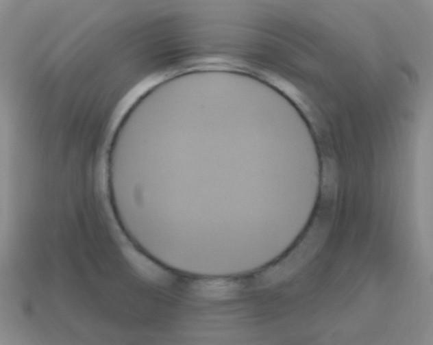 X0000113231474200910221029