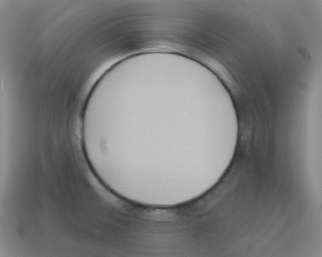 X0000113231476200910221029