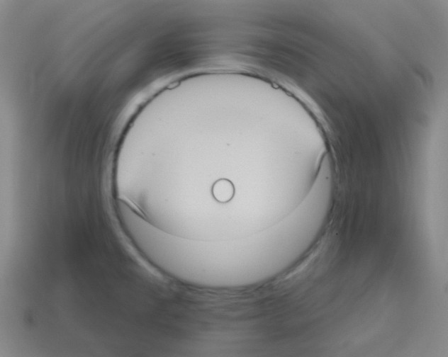 X0000113231477200910221029