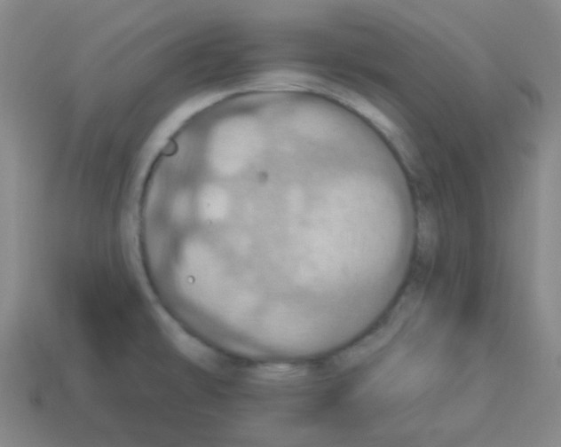 X0000113231478200910221029