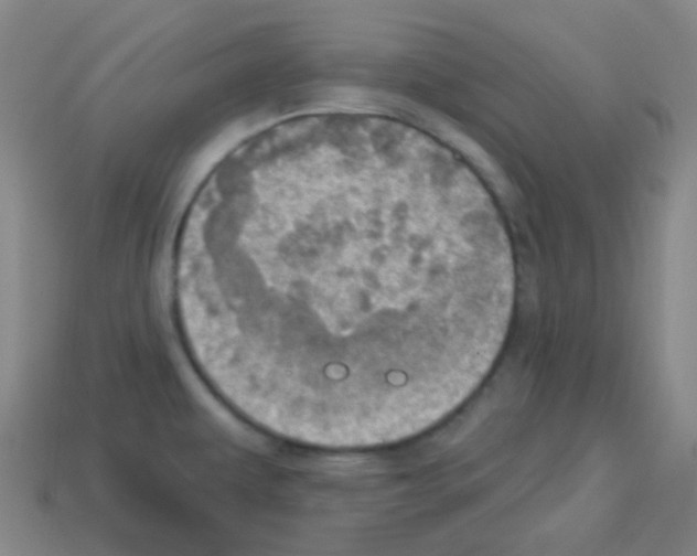 X0000113231479200910221029