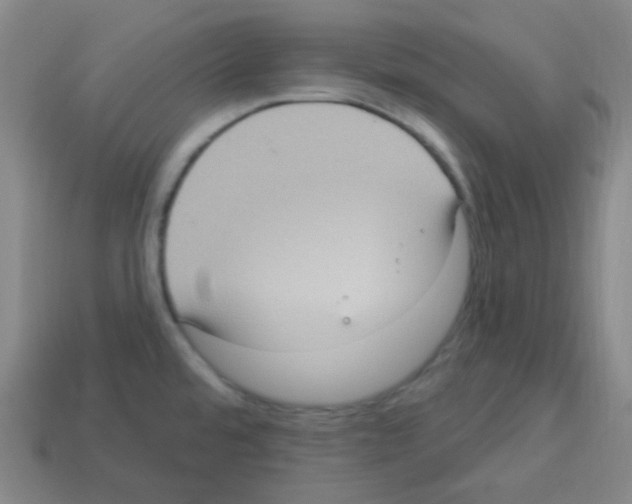 X0000113231480200910221029