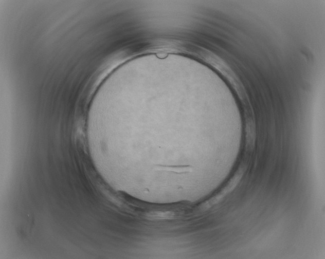 X0000113231481200910221029