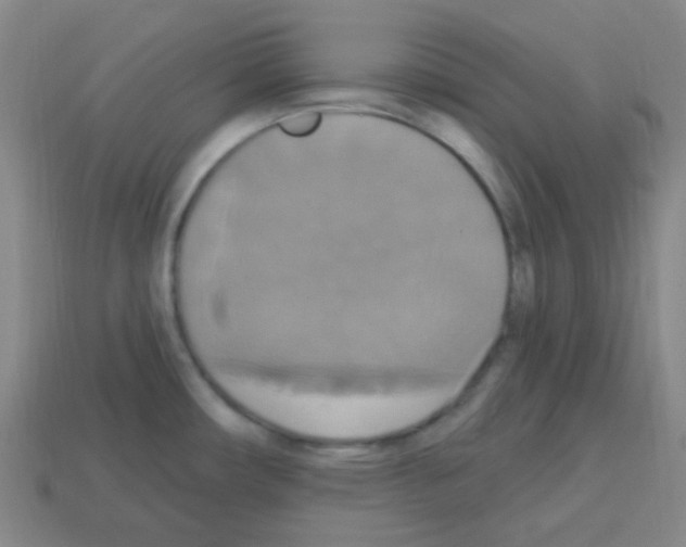 X0000113231482200910221029