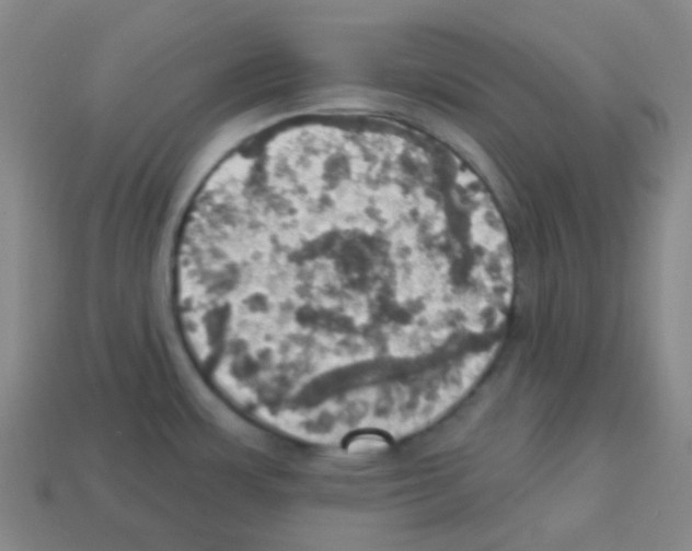 X0000113231483200910221029