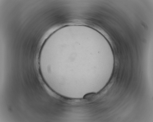 X0000113231485200910221029