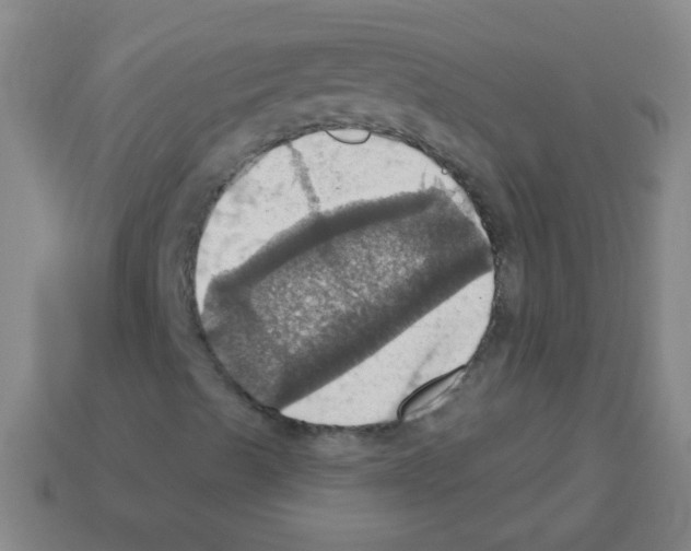 X0000113231489200910221028