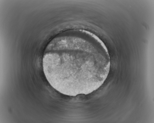 X0000113231490200910221028