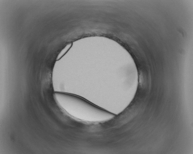 X0000113231492200910221028