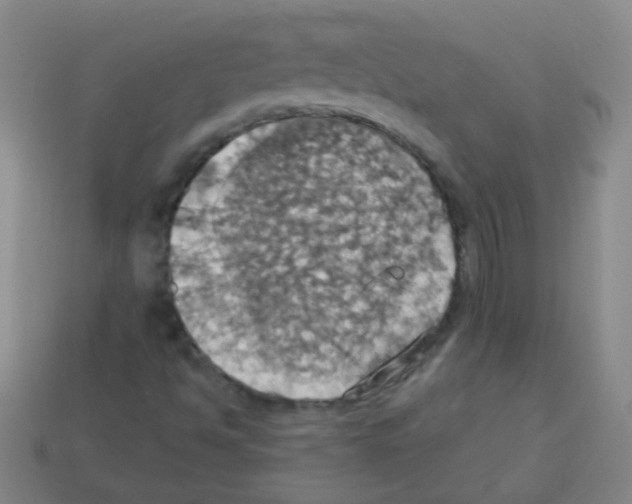 X0000113231494200910221028