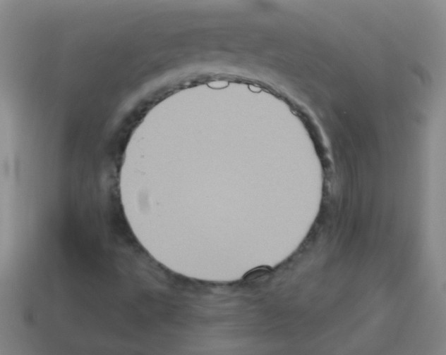 X0000113231495200910221028