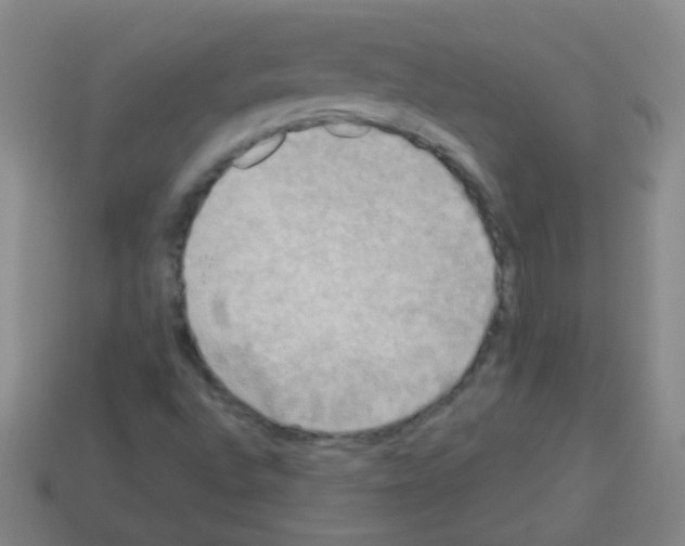 X0000113231496200910221028