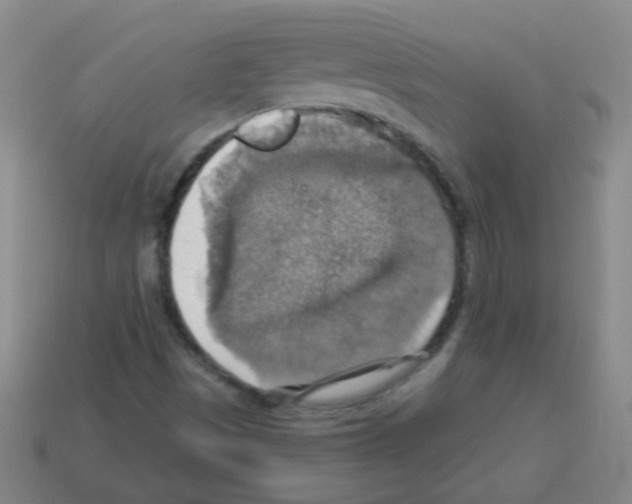 X0000113231497200910221028