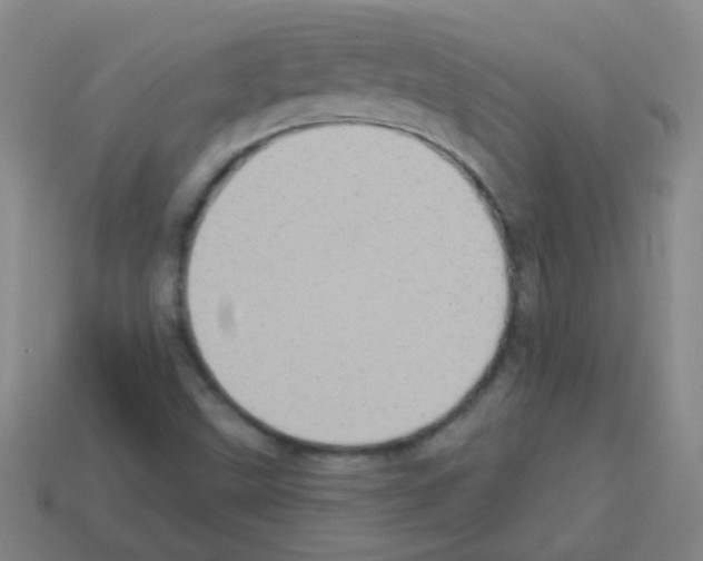 X0000113231499200910221028