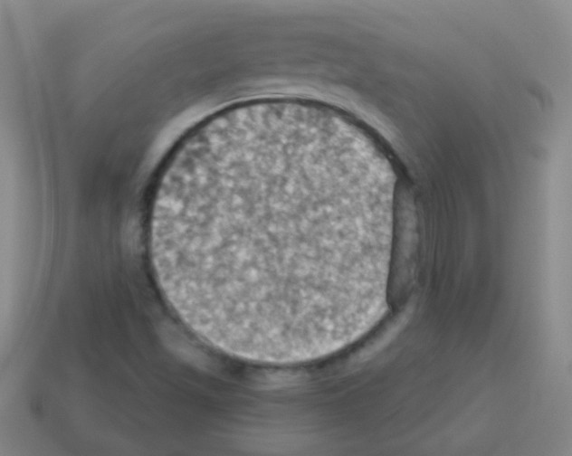 X0000113231501200910221028