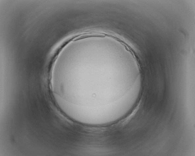 X0000113231502200910221028