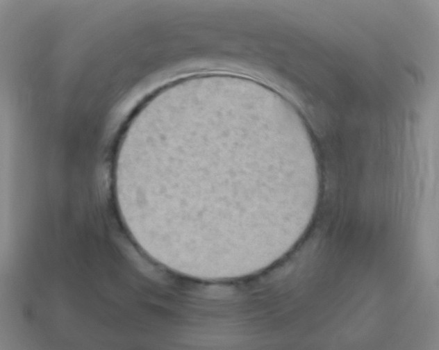 X0000113231503200910221028