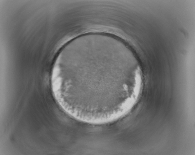 X0000113231505200910221028