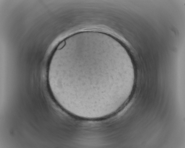 X0000113231506200910221028