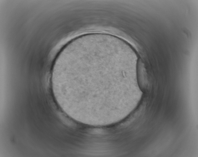 X0000113231507200910221028