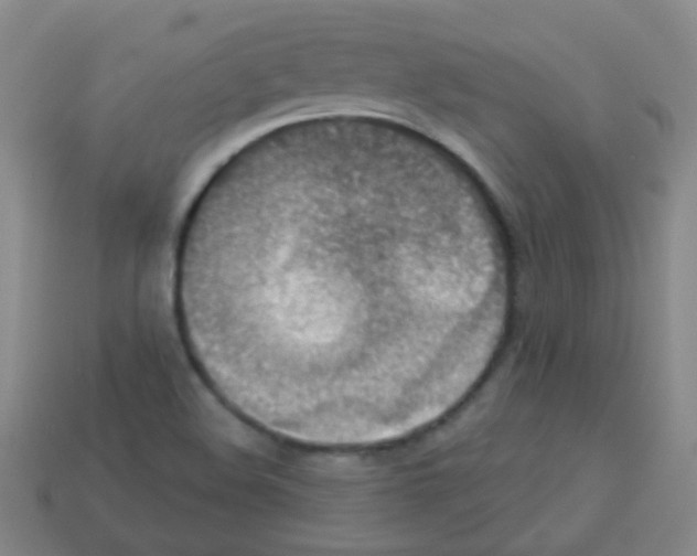 X0000113231508200910221028