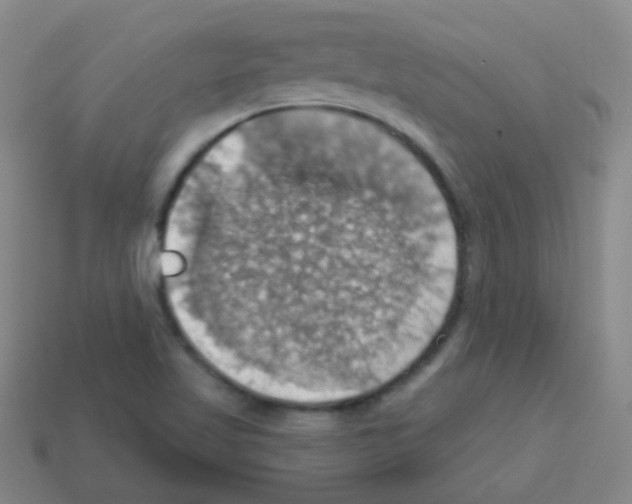 X0000113231509200910221028