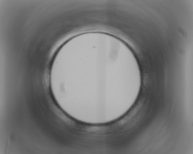 X0000113231510200910221028