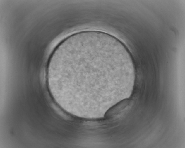 X0000113231511200910221028