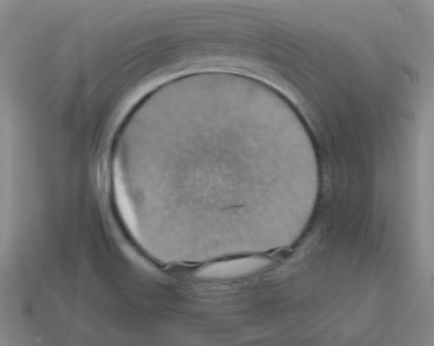 X0000113231515200910221028