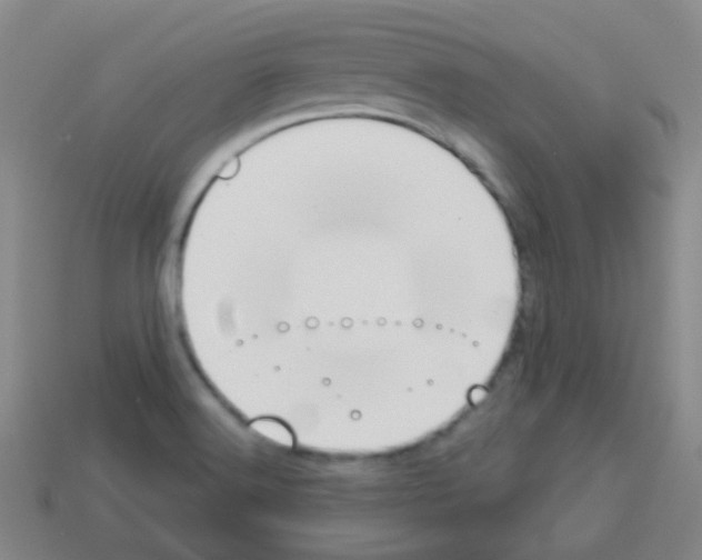 X0000113231516200910221028