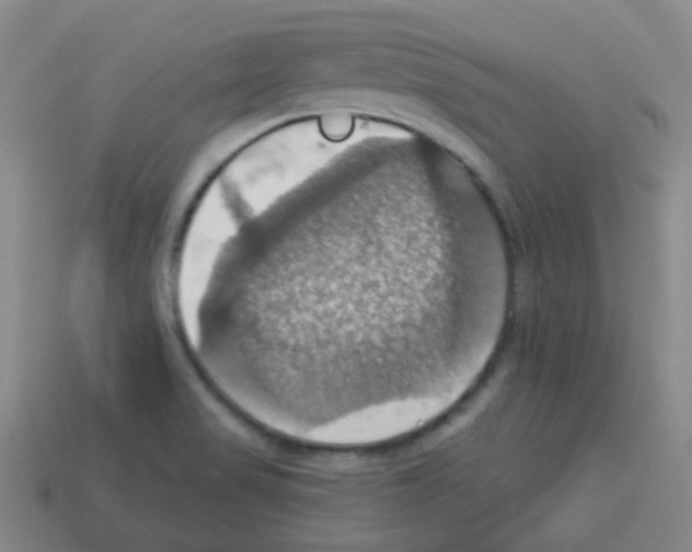 X0000113231517200910221028