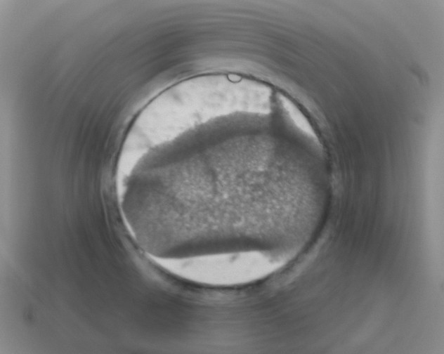 X0000113231521200910221028