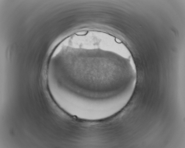 X0000113231522200910221028