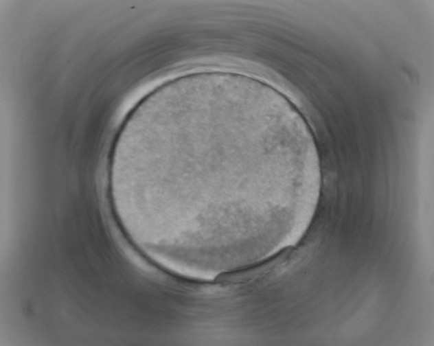 X0000113231523200910221029