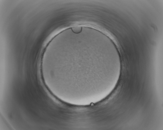 X0000113231525200910221029