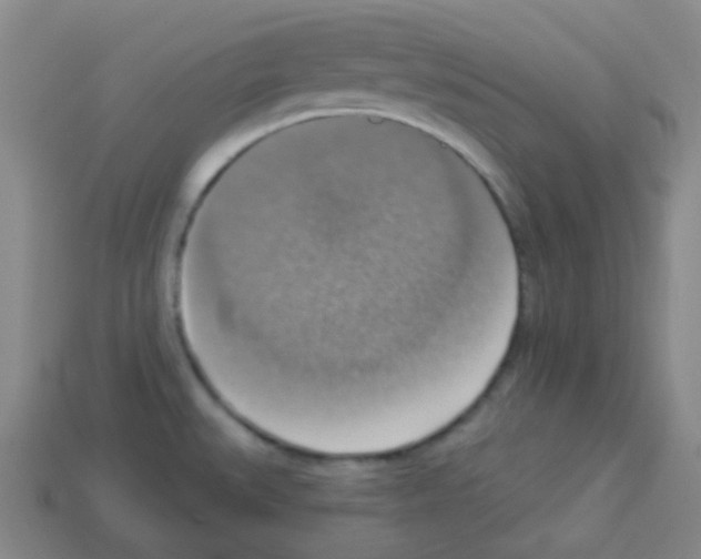 X0000113231527200910221029