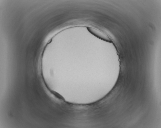 X0000113231528200910221029