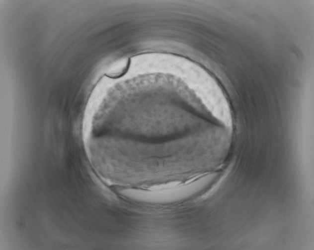 X0000113231529200910221029