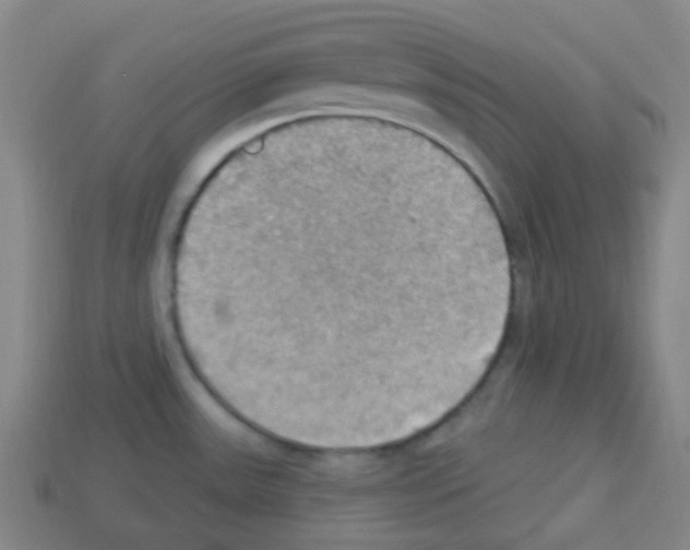 X0000113231531200910221029