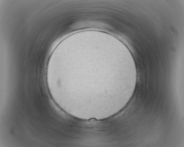 X0000113231532200910221029