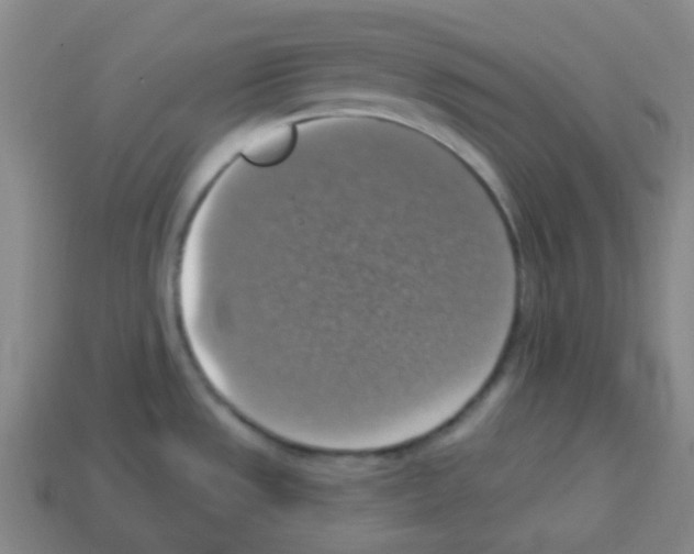 X0000113231533200910221029