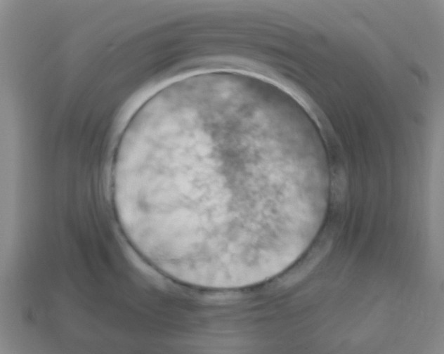 X0000113231535200910221029