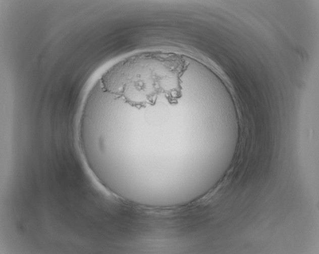 X0000113231536200910221029